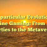 The particular Evolution of On-line Gaming: From LAN Parties to the Metaverse